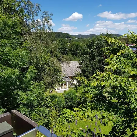 Hochschwarzwald הינטרצארטן